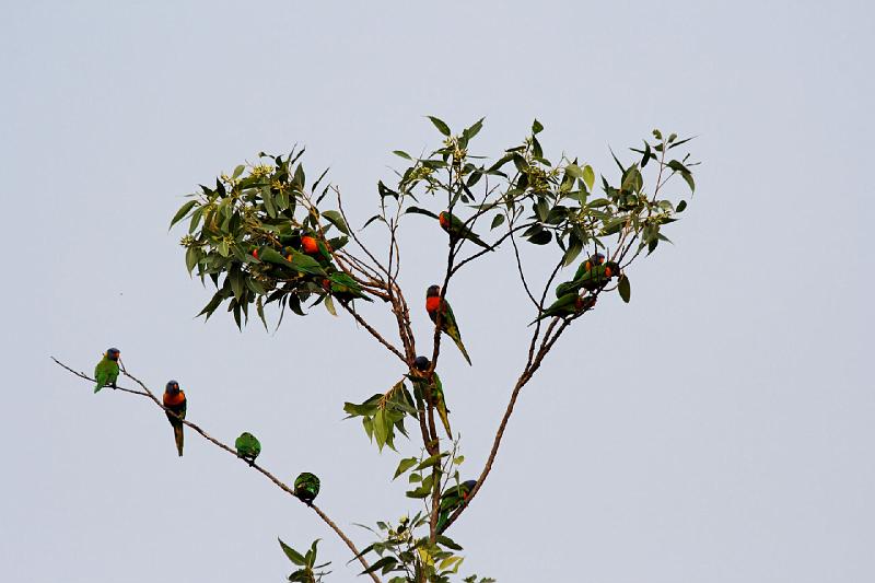 2007 05 14 Fraser Island 193_DXO.jpg